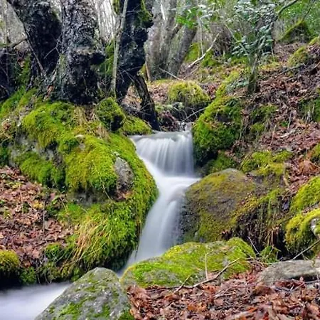 Nieves شاليه San Ciprián